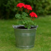 Zinkeimer als Blumentopf
